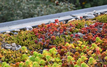 the cost of Northlea green roof installation