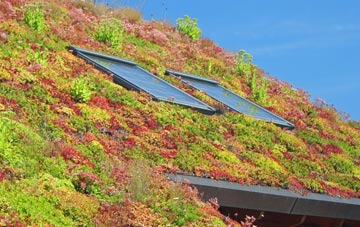 Northlea living roof systems